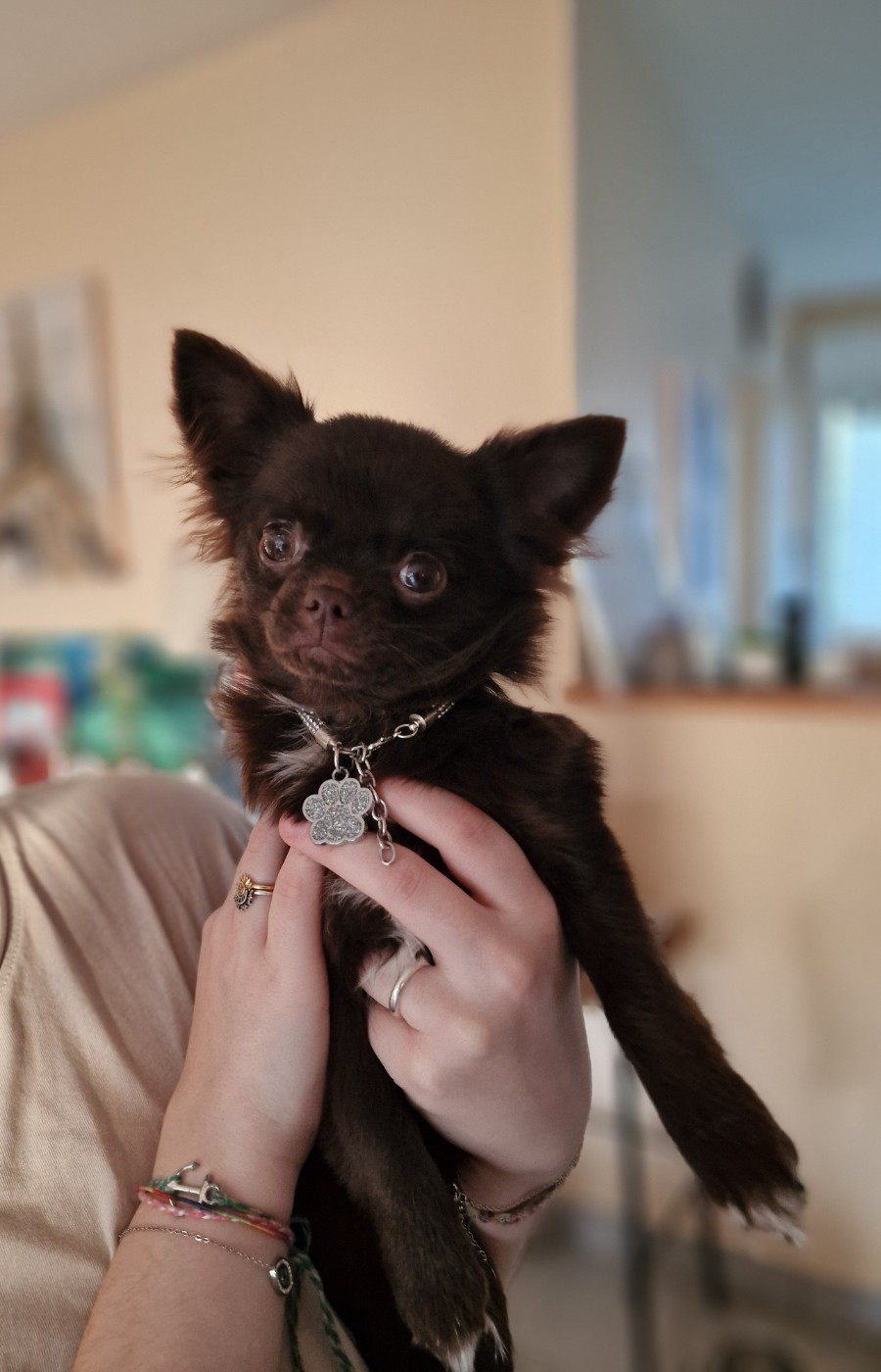 Aimy Les Anges De Sidonie