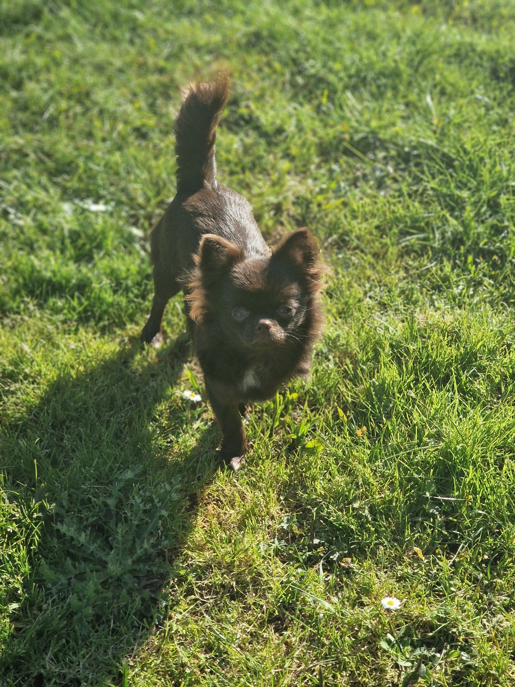 Aimy Les Anges De Sidonie