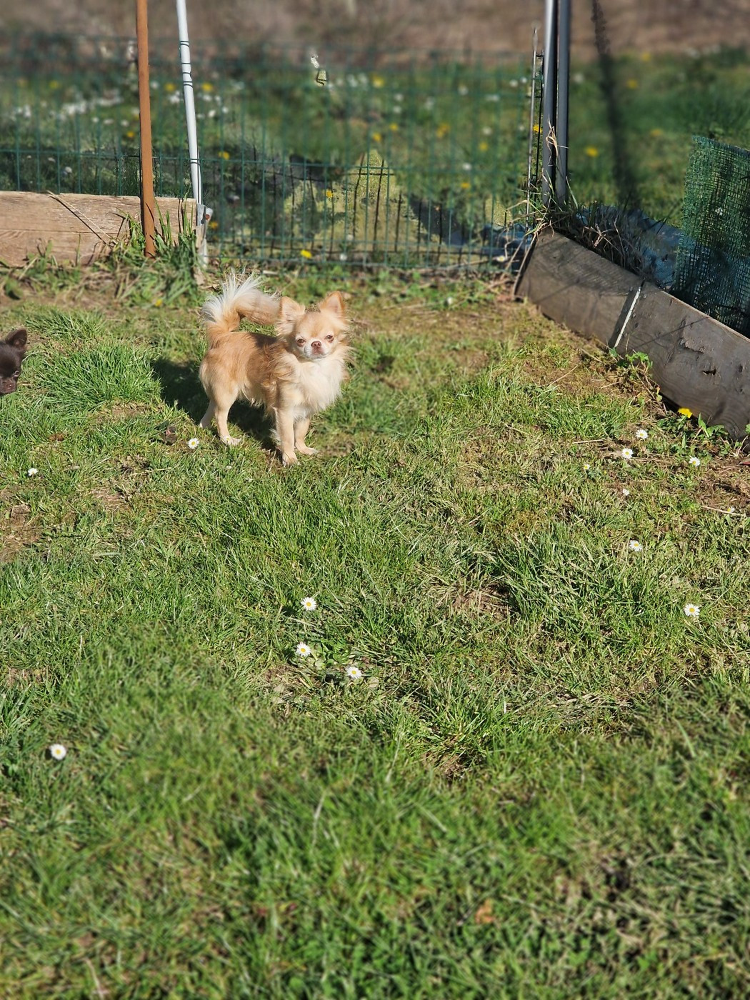 Vadim Des Minis Trésors