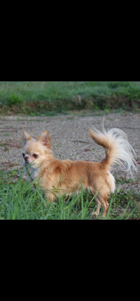 Vadim Des Minis Trésors