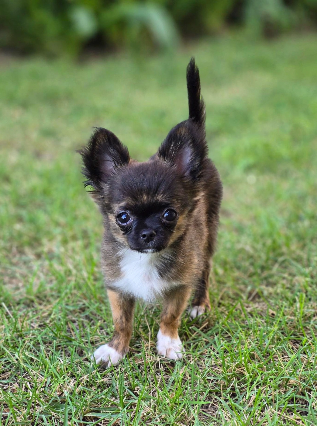 Boubou Des Minis Trésors